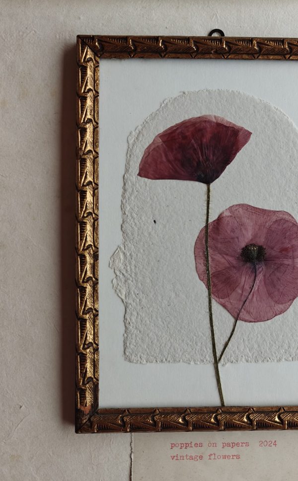POPPIES ON PAPERS (M) - Afbeelding 2