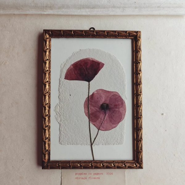 POPPIES ON PAPERS (M)