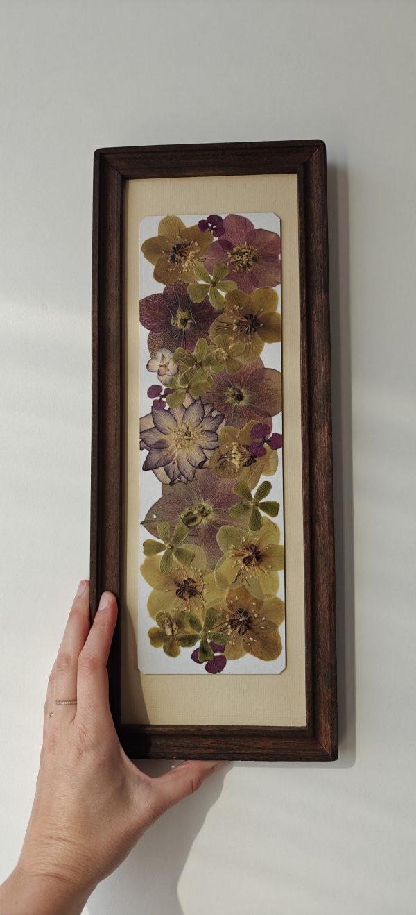FULL HELLEBORE - Afbeelding 3