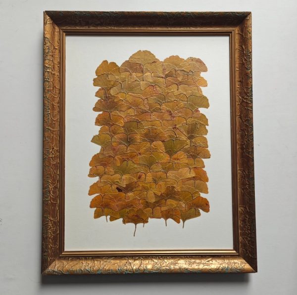 GOLDEN GINKGO