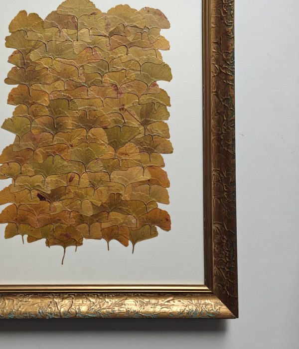 GOLDEN GINKGO - Afbeelding 2