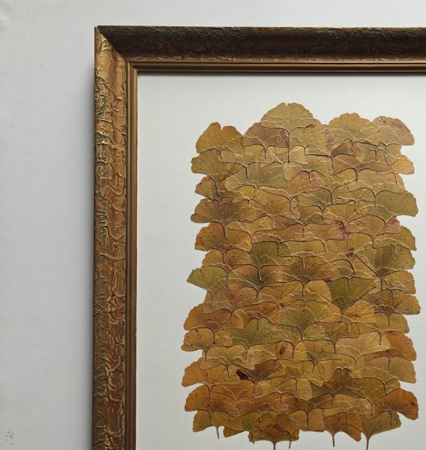 GOLDEN GINKGO - Afbeelding 3