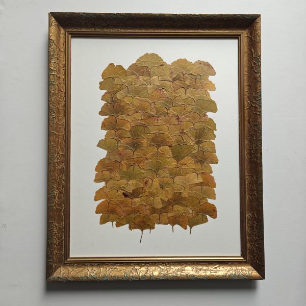 GOLDEN GINKGO - Afbeelding 4
