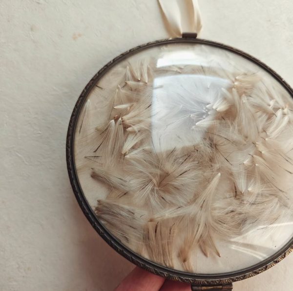 THISTLE FLUFF (M) - Afbeelding 2