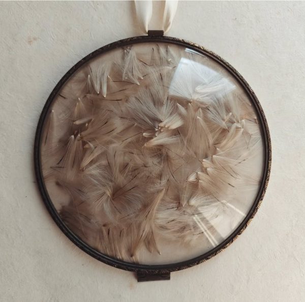 THISTLE FLUFF (M)