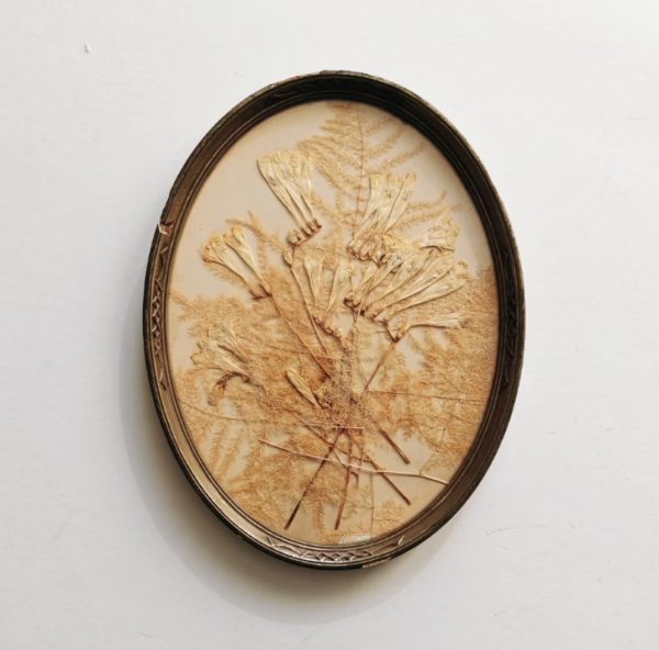 ANTIQUE PRESSED FLOWERS