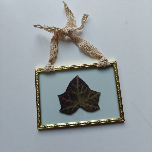 GOLDEN FRAME 11