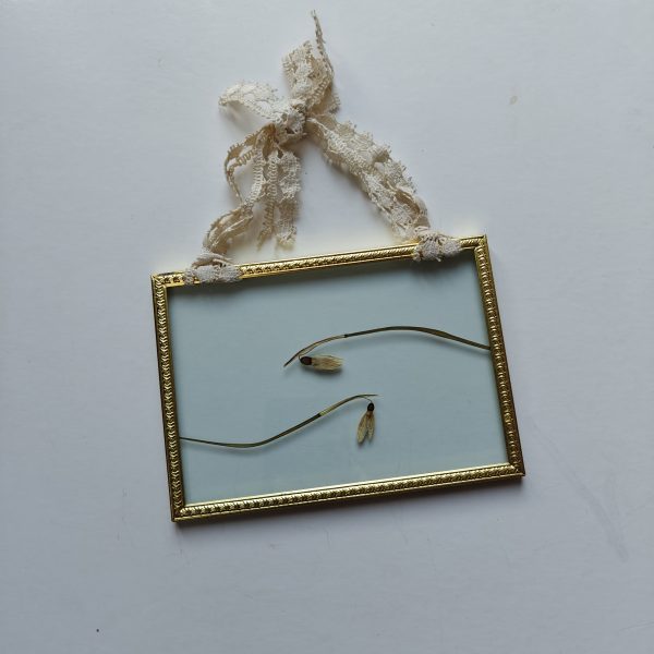 GOLDEN FRAME 12