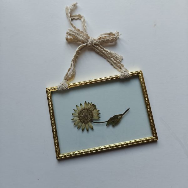 GOLDEN FRAME 13