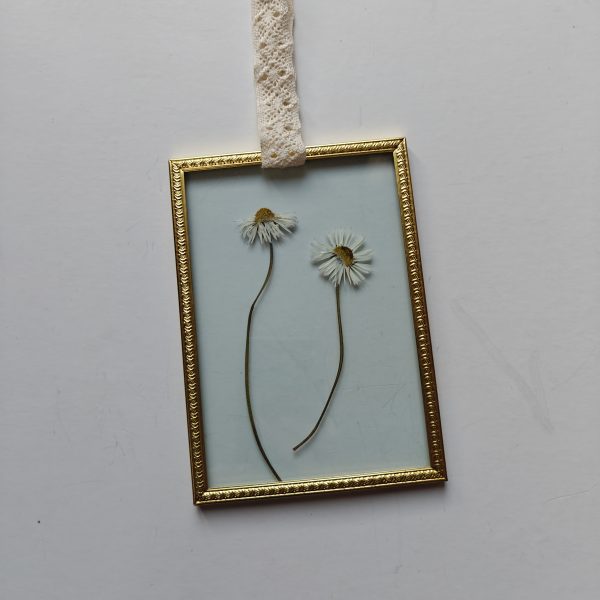 GOLDEN FRAME 3