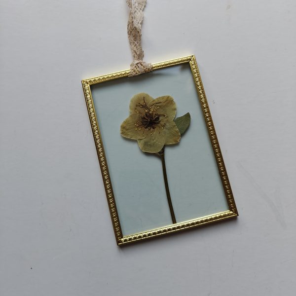 GOLDEN FRAME 4