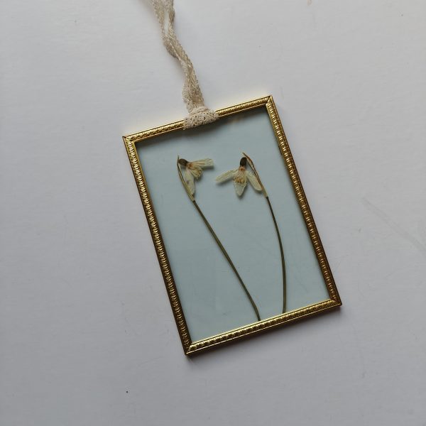 GOLDEN FRAME 6