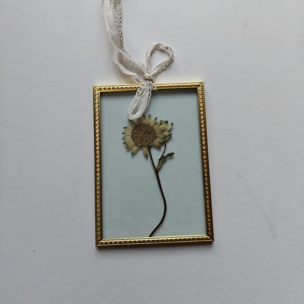 GOLDEN FRAME 7