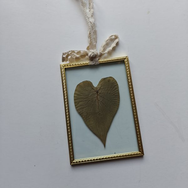 GOLDEN FRAME 10