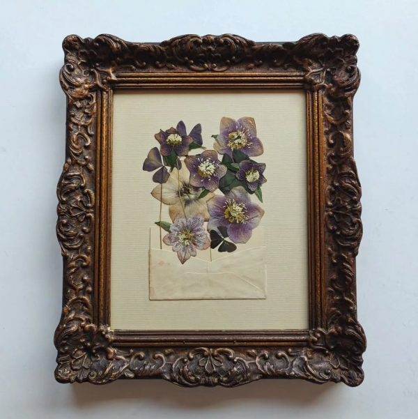 HELLEBORE MAIL