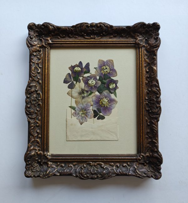 HELLEBORE MAIL - Afbeelding 2