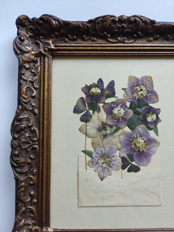 HELLEBORE MAIL - Afbeelding 4