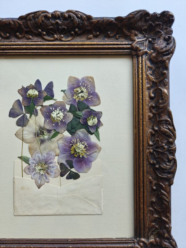 HELLEBORE MAIL - Afbeelding 3
