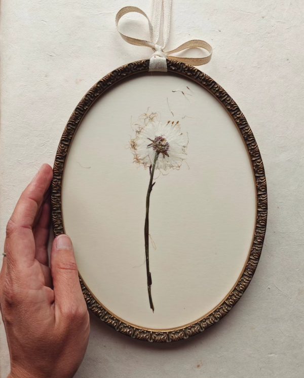 ANTIQUE OVAL TUSSILAGO (L)