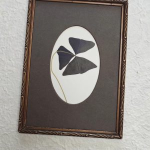 CLOVER PASSE PARTOUT (M)